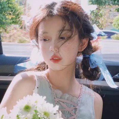 宠物顽皮豹鹅卵石
