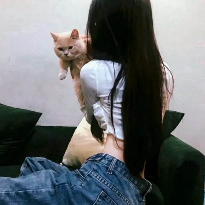 经典杯子蛋糕
